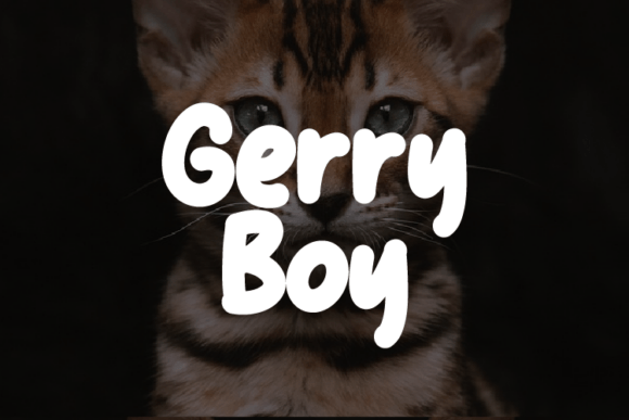 Gerry Boy: The Modern Display Typeface for Professional Branding
